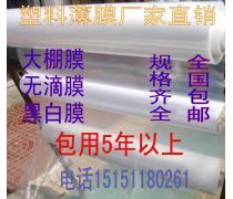 電子科技產品庫 創新與應用的集大成者